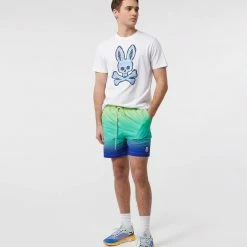 Men's Psycho Bunny Wardell Graphic Tee White WHITE -men‘s shop online B6U605T1PC WHT 1